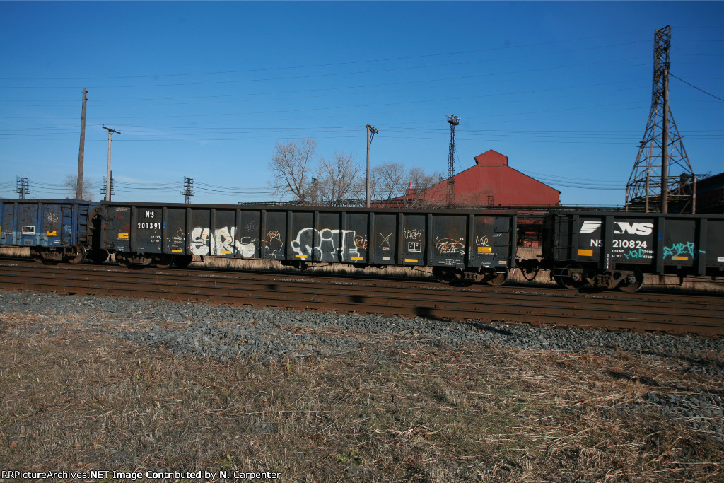 NS 201391